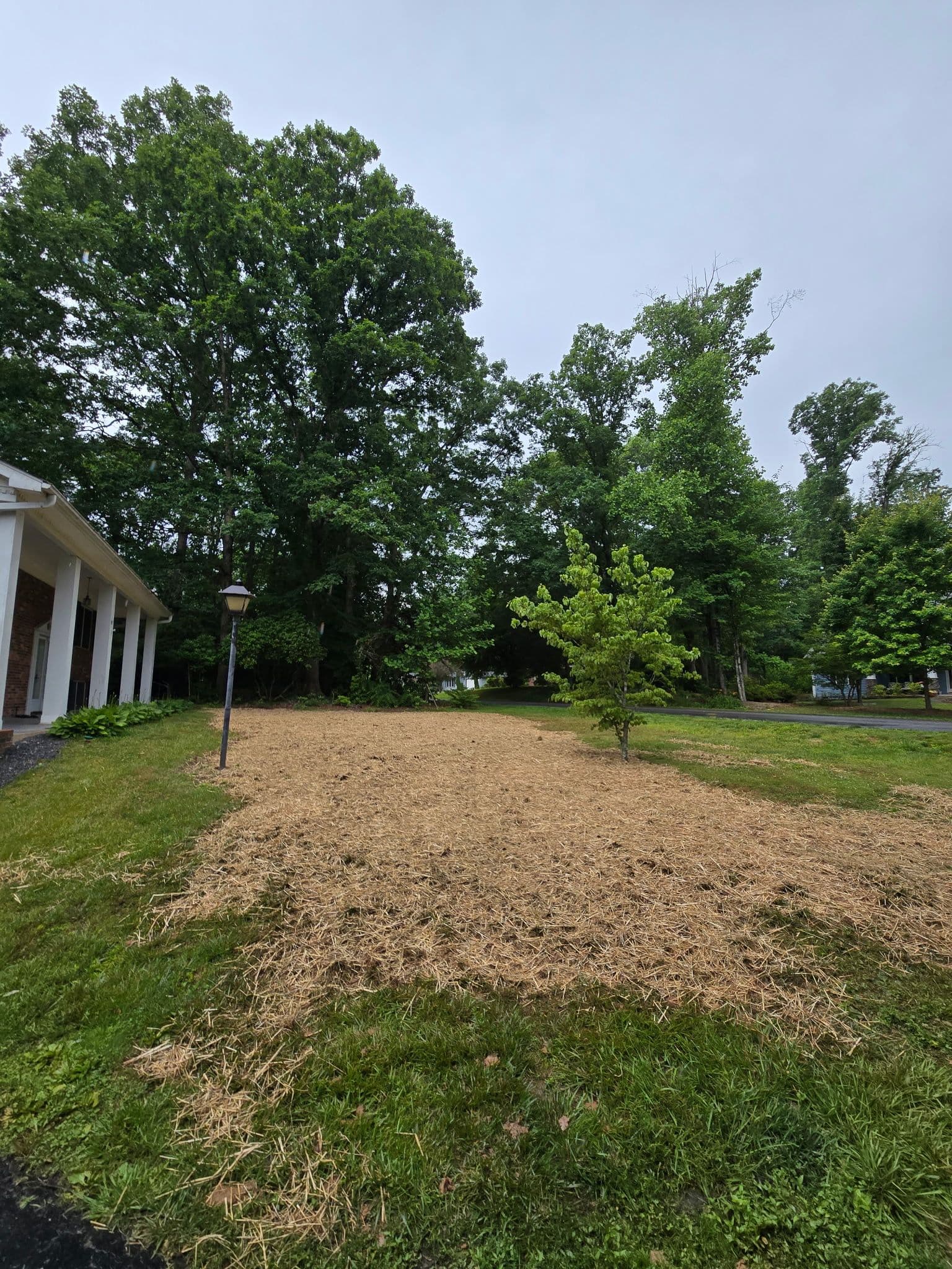 Gallery photos for French Drain Replacement and Yard Grading in Etowah: Image #2