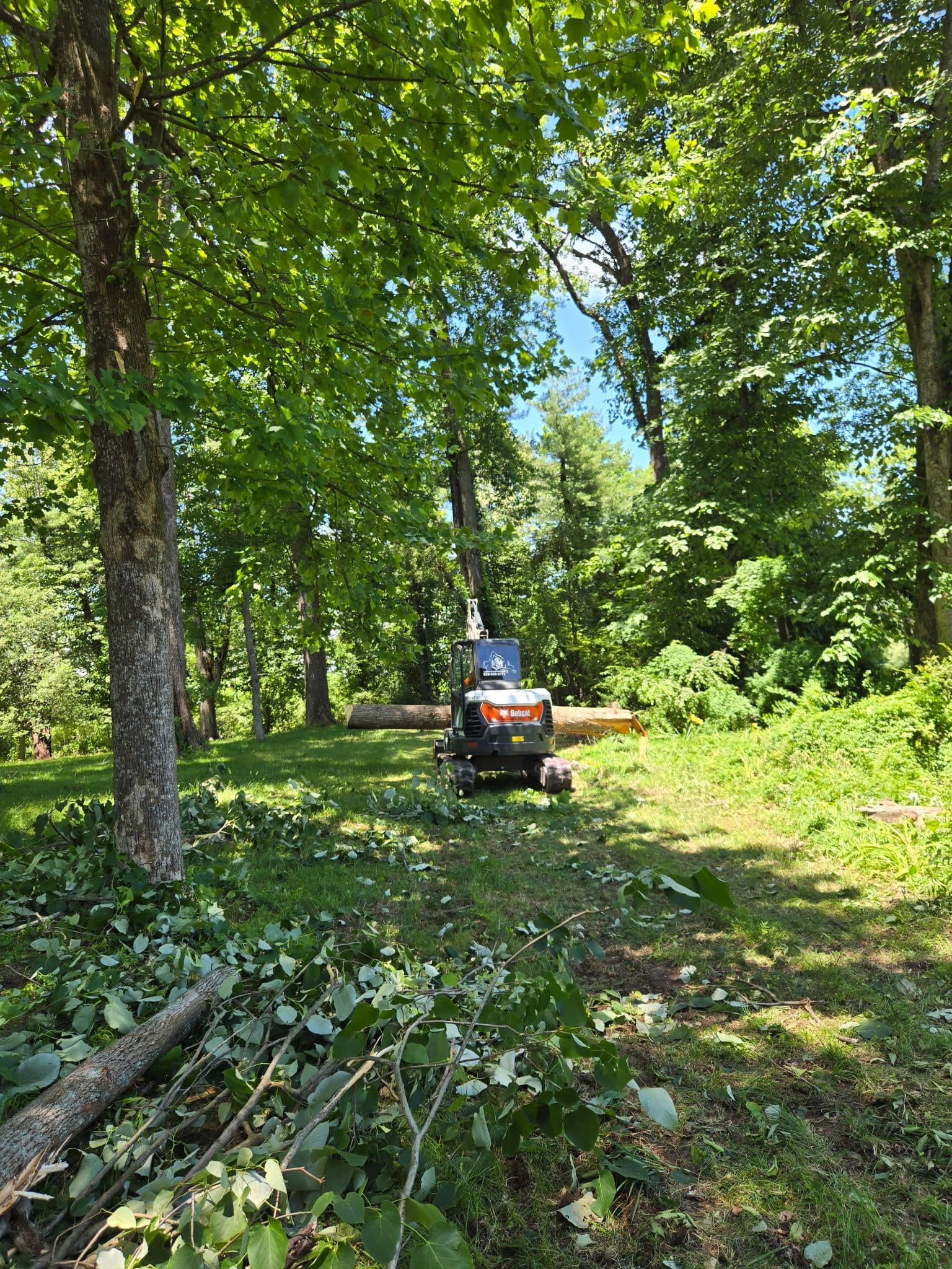 Storm Damage Cleanup and Hazard Tree Removal in Etowah