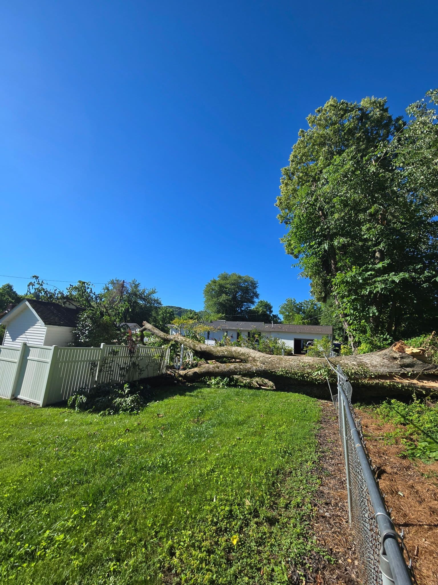 Storm Damage Cleanup and Hazard Tree Removal in Etowah