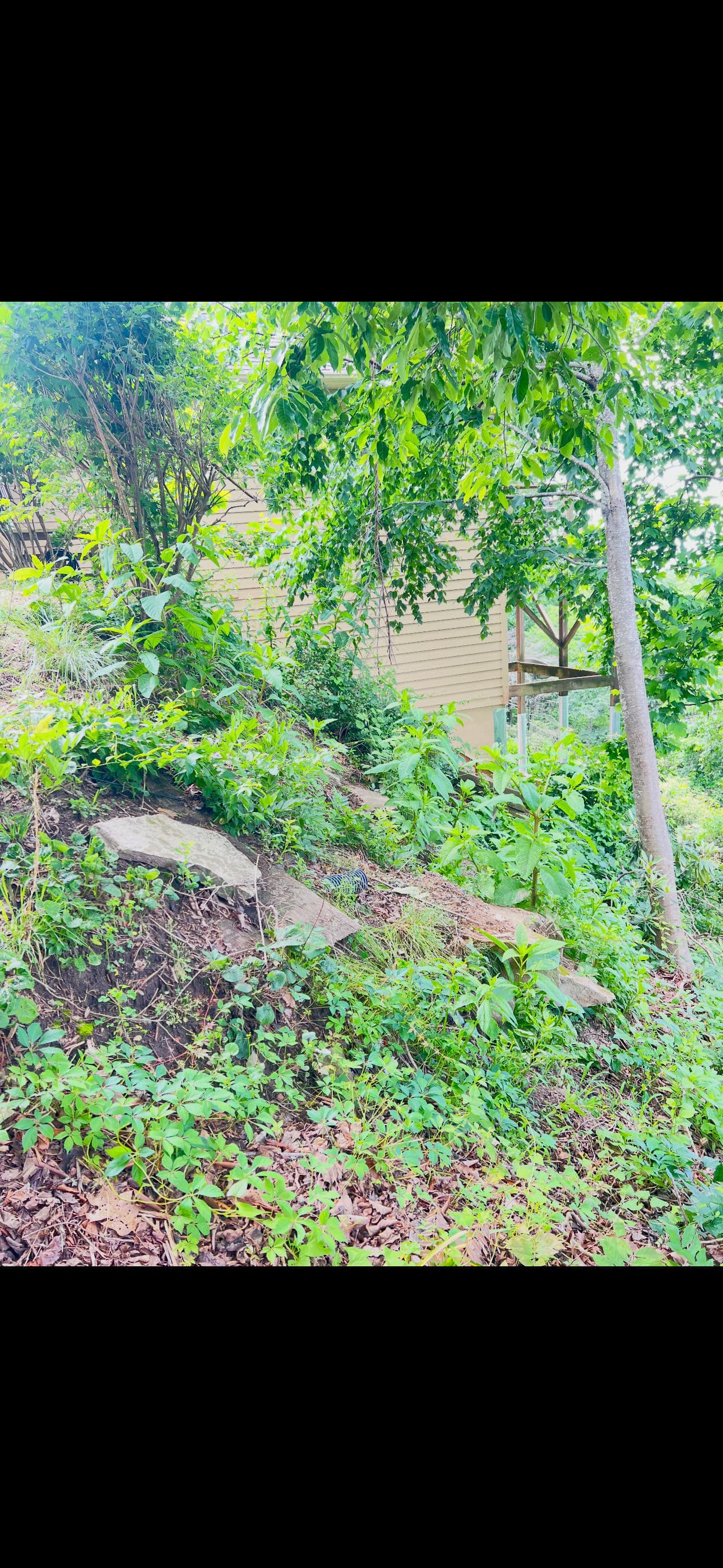 Slope Drainage and Retaining Walls Tackle Laurel Park Washout