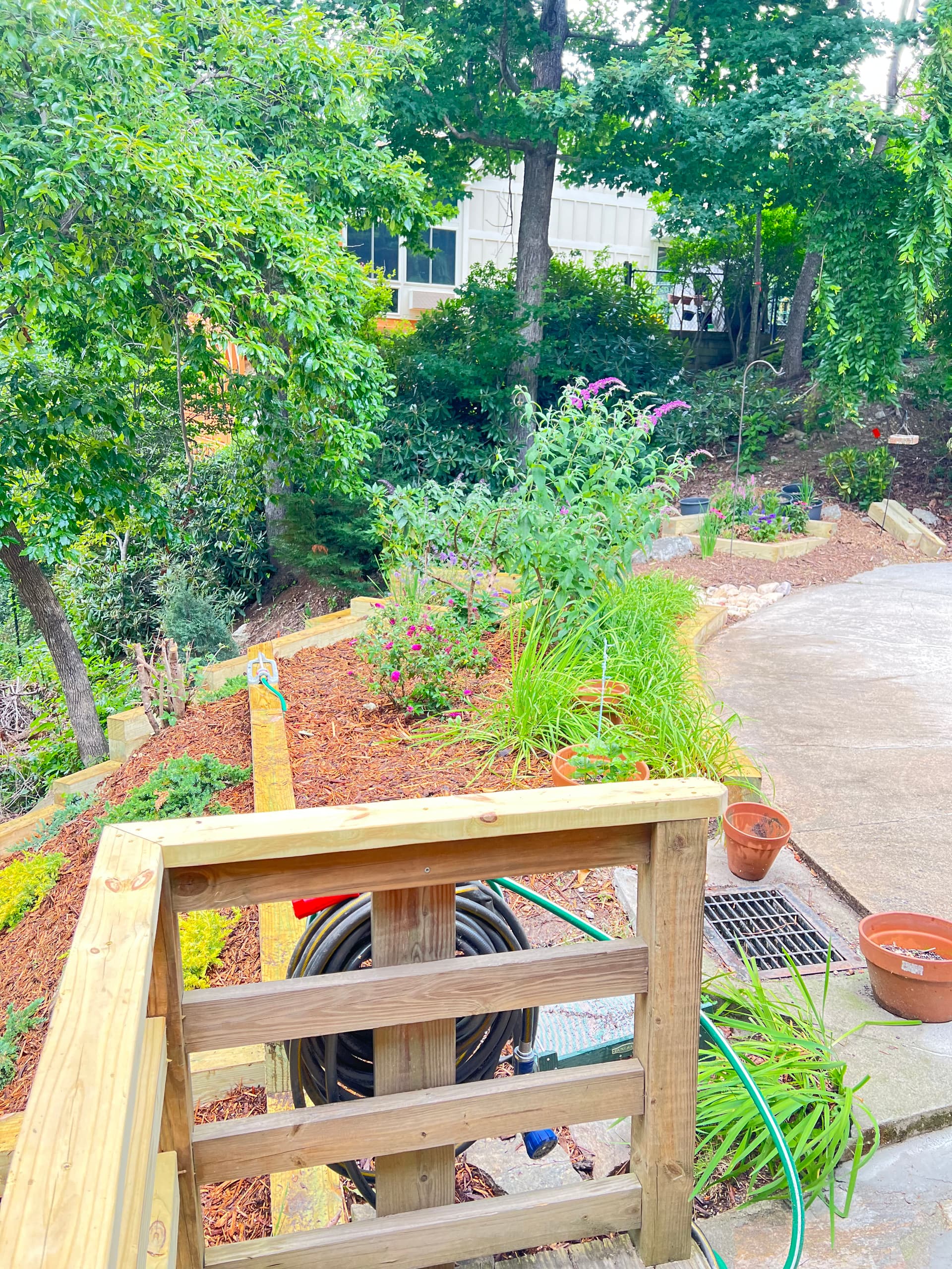 Gallery photos for Flower Boxes and a Butterfly Garden Come Together in Laurel Park: Image #1