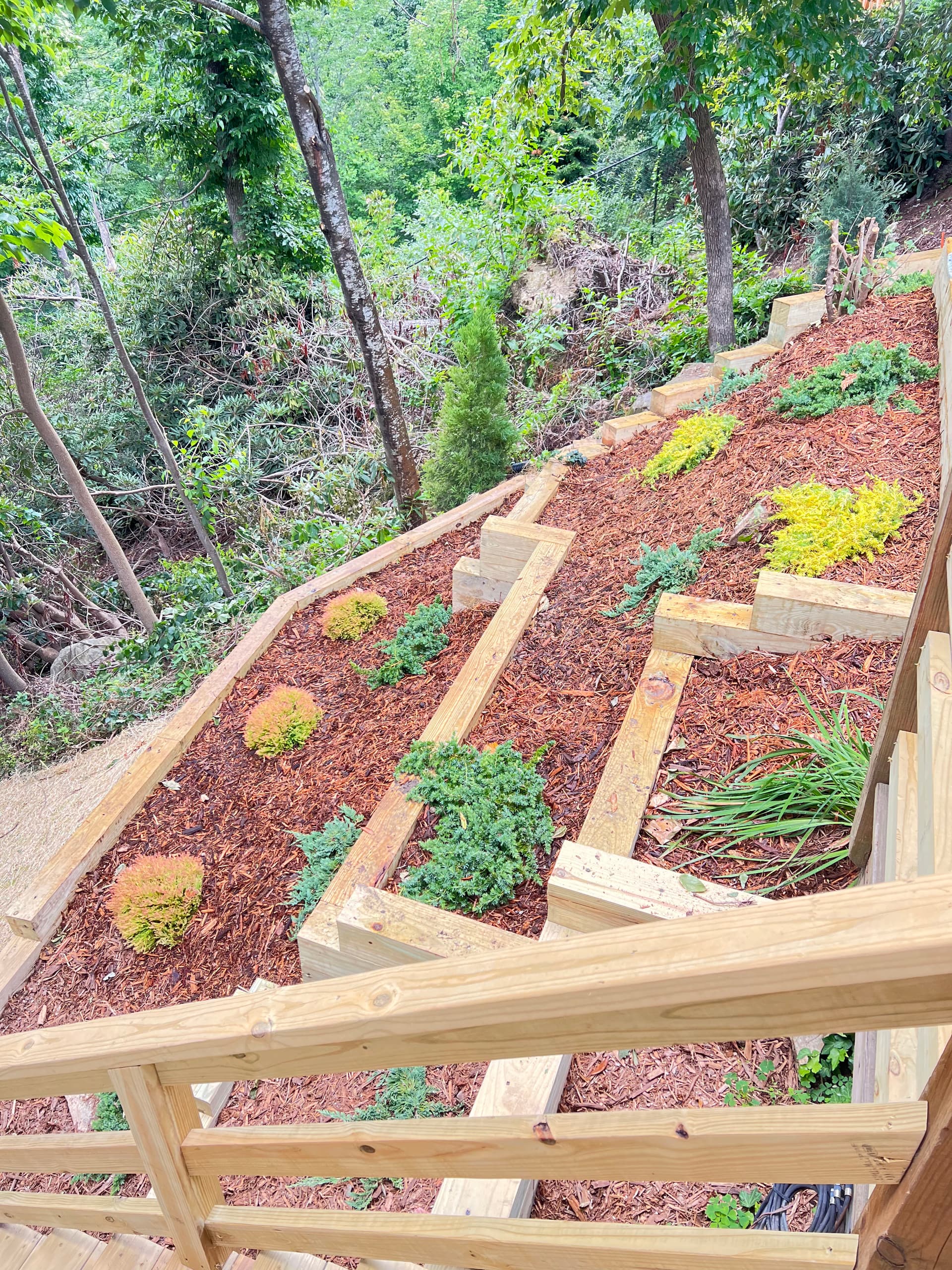 Flower Boxes and a Butterfly Garden Come Together in Laurel Park image