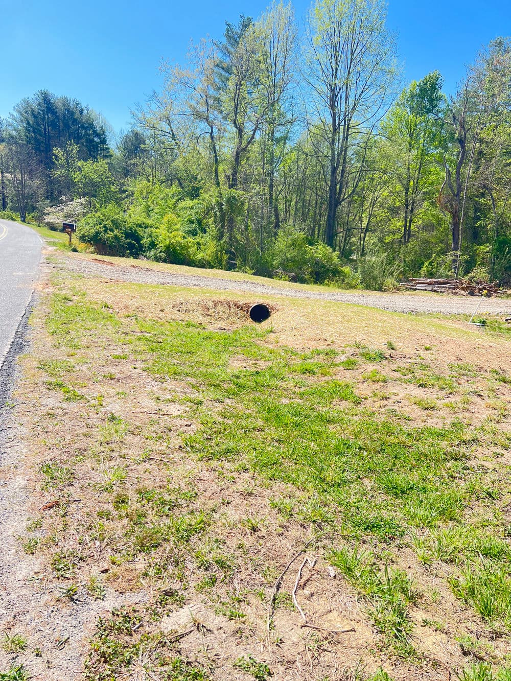 Culvert opening by a road surrounded by greenery and trees under a blue sky.