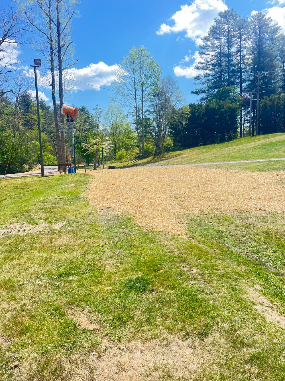 Park scene with grass, gravel path, trees, and blue sky with clouds in the background.