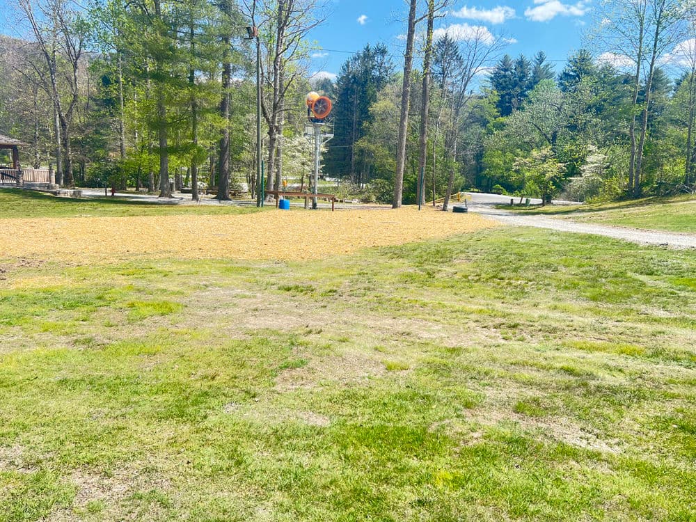 Park landscape with green grass, trees, and a gravel path under a clear blue sky.