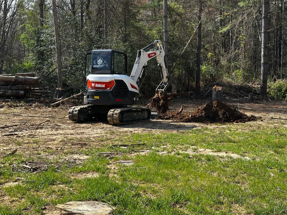 Bobcat excavator removing tree stump in forested area with cleared ground.