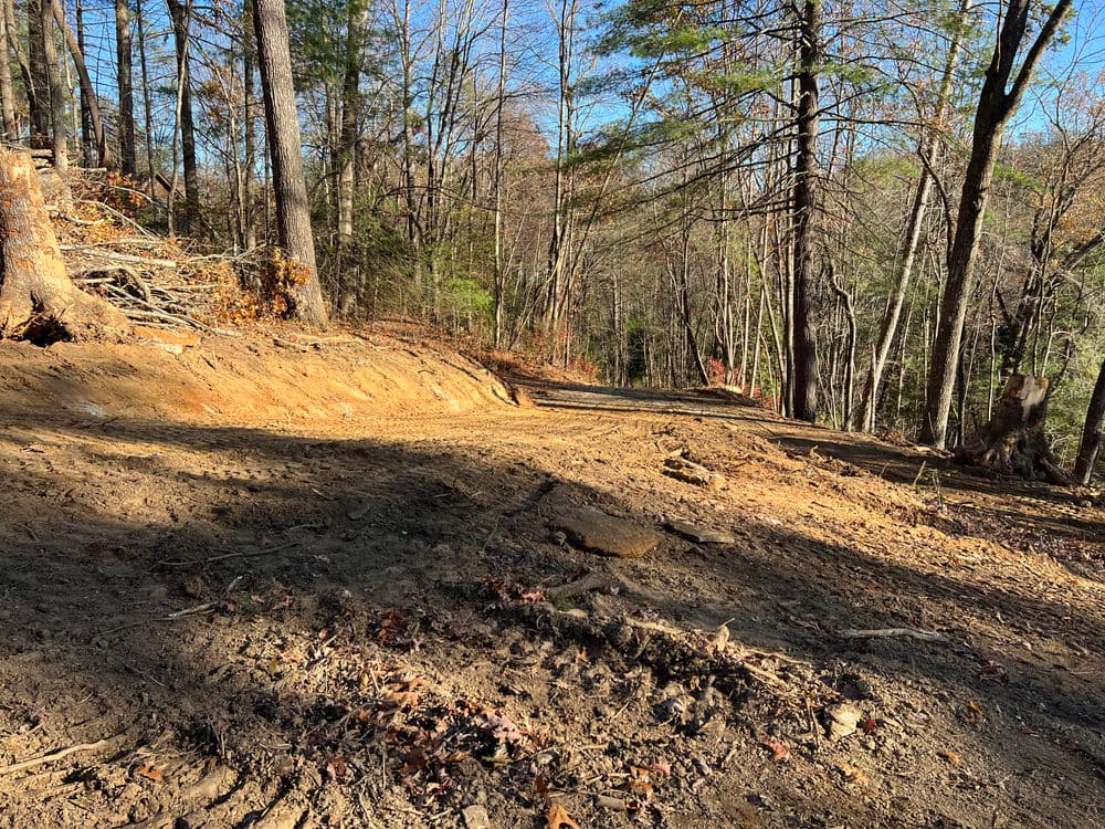Cleared forest area with bare soil and trees, showcasing natural landscape changes.