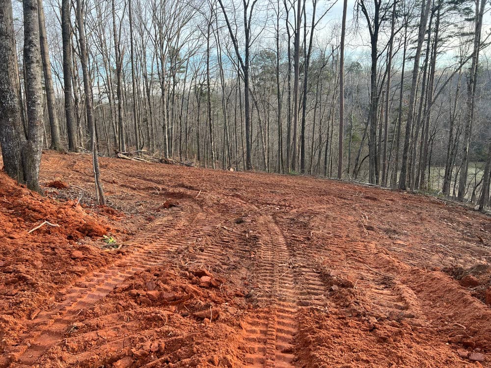 Cleared forest area with red earth and tire tracks, showcasing land preparation for development.
