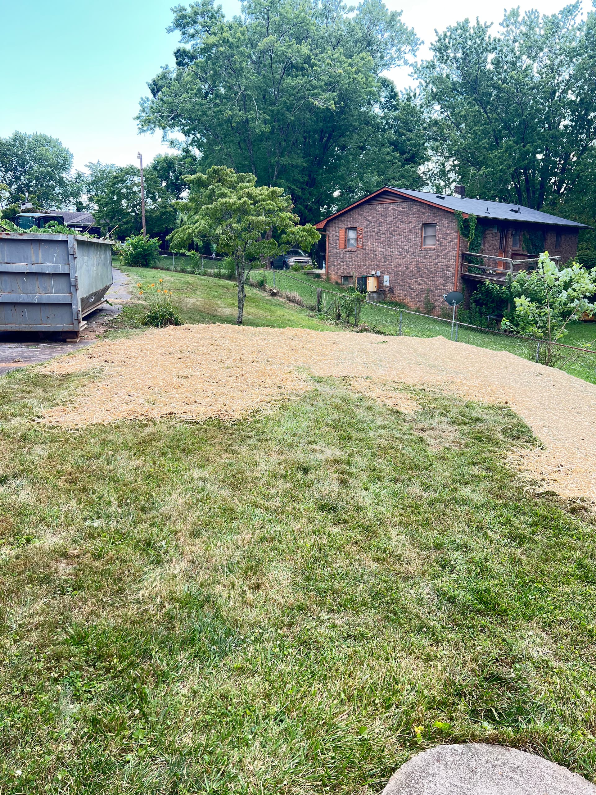 Gallery photos for Overgrown Backyard Land Clearing in Mills River NC: Image #4