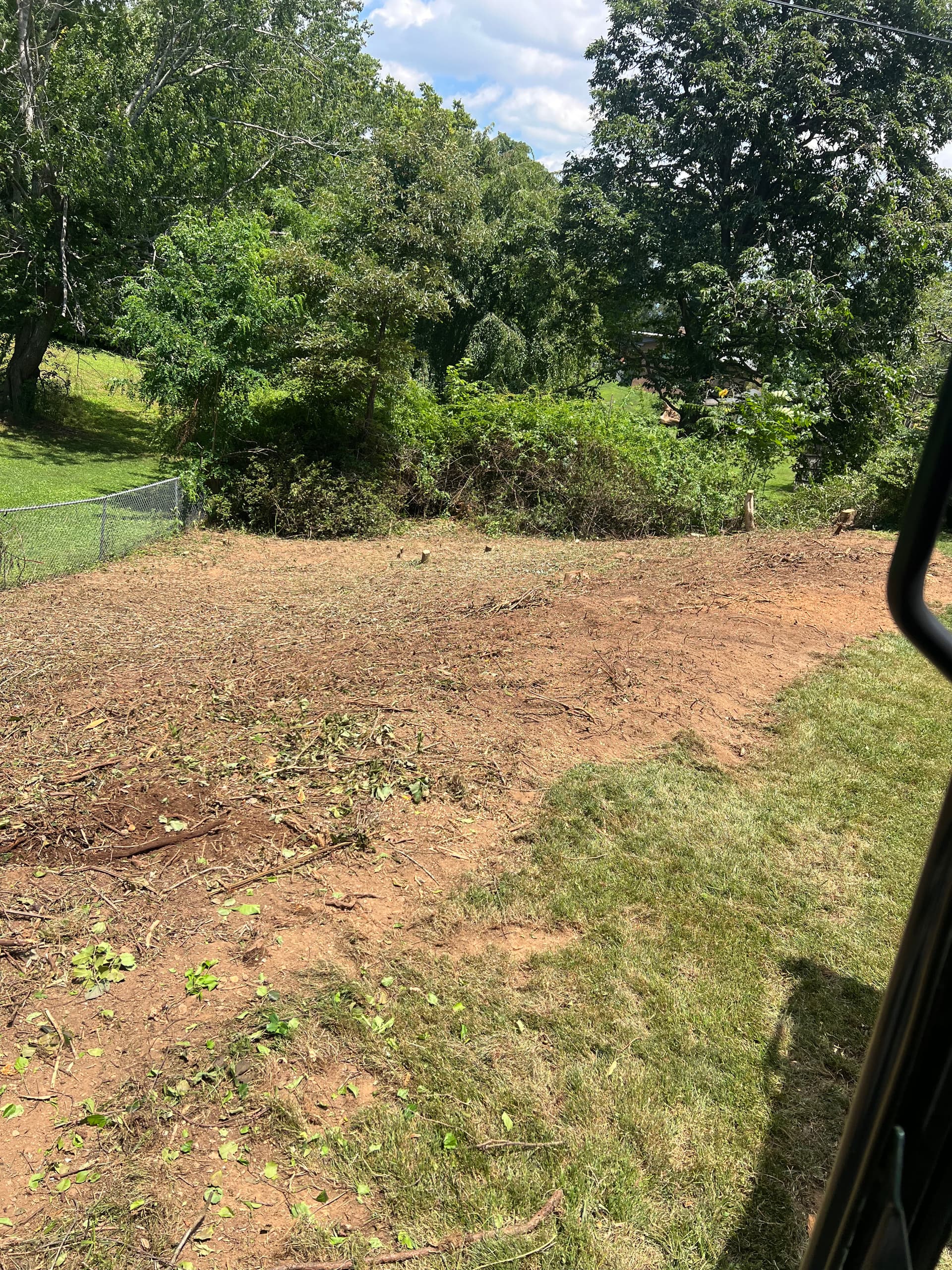 Gallery photos for Overgrown Backyard Land Clearing in Mills River NC: Image #2