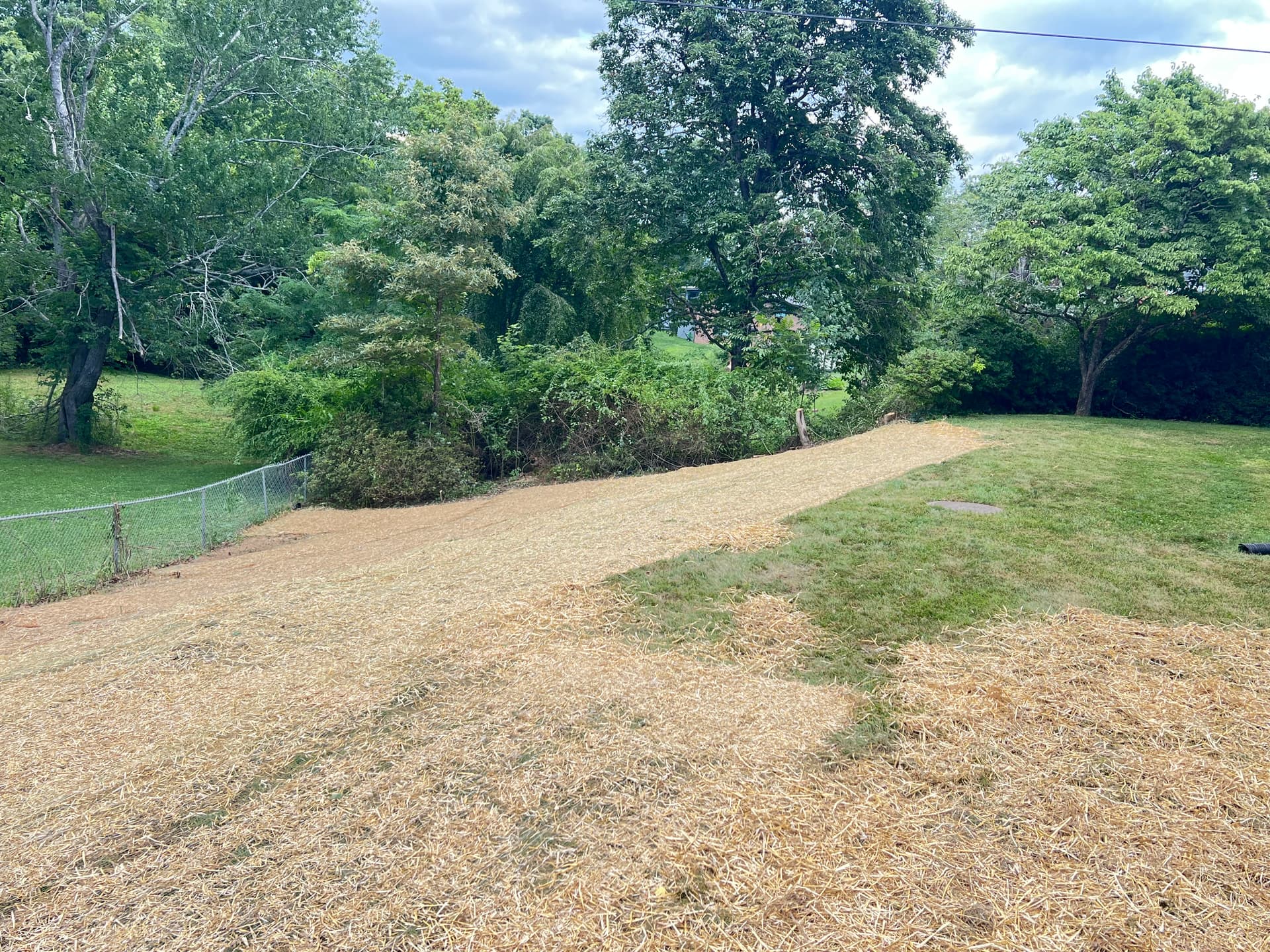 Gallery photos for Overgrown Backyard Land Clearing in Mills River NC: Image #3